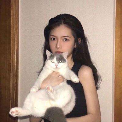 筷子游戏最新版下载